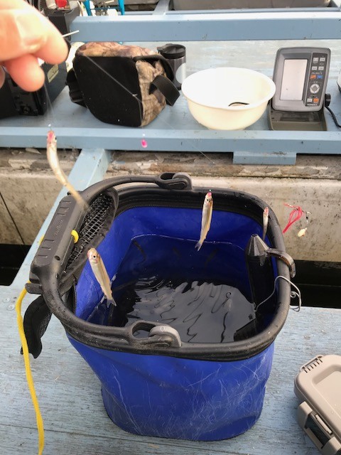 !cid_D0FDEE3B-5E3C-4004-A197-57AECD5A1D3F