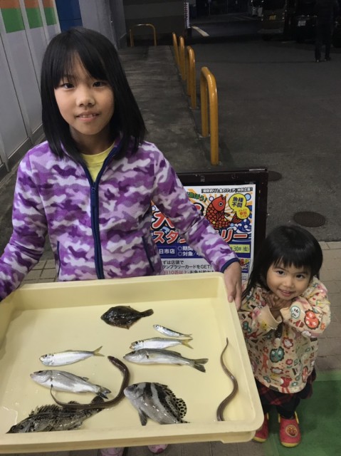 deccff96-c91a-415c-82e3-0ea3241b8538