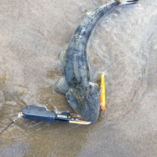 e4d5b068-1ba0-4672-8a49-d410a17eb359