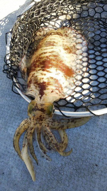 e8e5a9b7-71ab-4c36-b223-a7bde0c40ecd