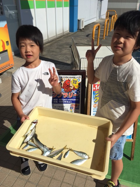 fd252f5f-c31e-4590-a51b-a1ba86c23b73