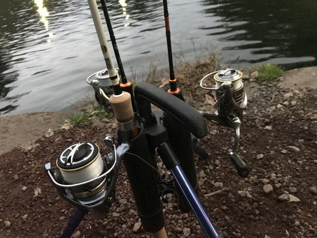 ロッドスタント