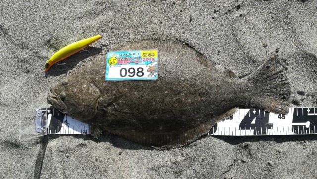 0d7d3dca-91a0-48a0-9829-15a80791093a