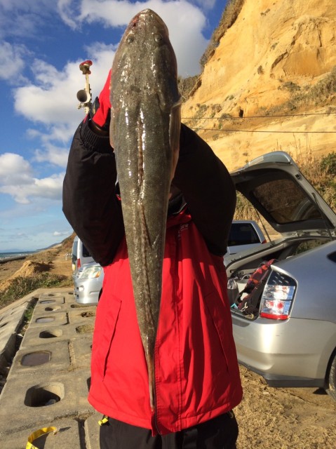 0ddd19a9-8544-41be-b026-78f5a842b11c