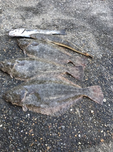 12945408-a1e0-4d02-b143-3189037f3bbc