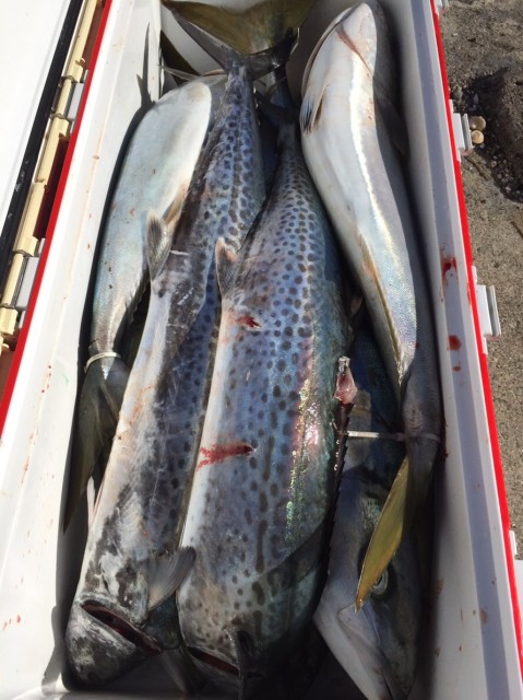 1b0df705-1515-4d72-a81b-e561216fa656