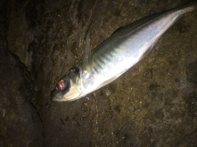 25606428-e315-4c15-b9af-a23f0a6887a3