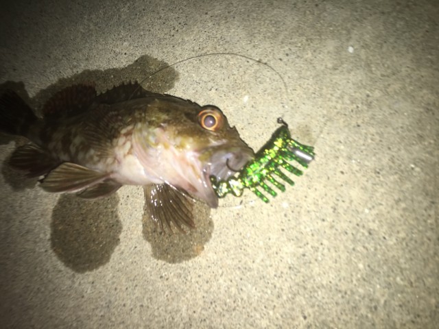 29AB9898-7454-48FA-9748-DFC8DA9DA63F