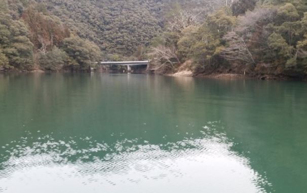 2018年の釣りを振り返ってみました！