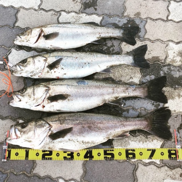 374167b3-b104-4fc9-8e3c-a98ab78eb792