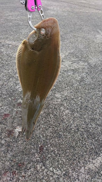 4b9f642c-20c9-4c6a-8b0a-6656a7a810c4