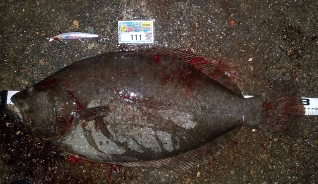 510b87c5-07d1-4369-9813-db179ca64156