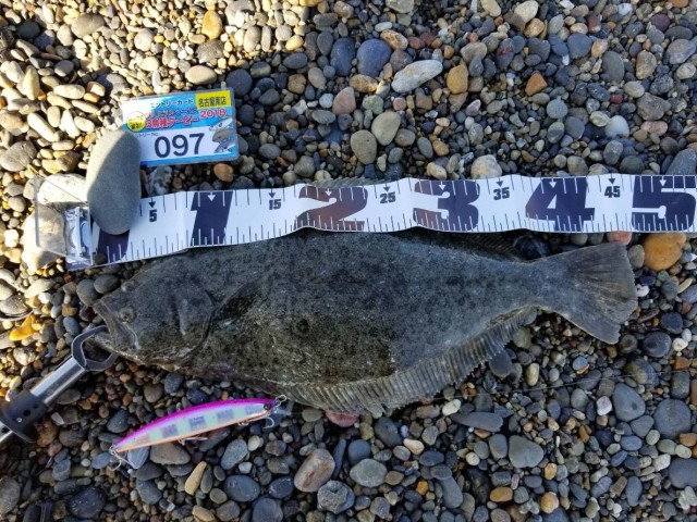 68e32828-b5bb-49b2-8368-b54089d604c2