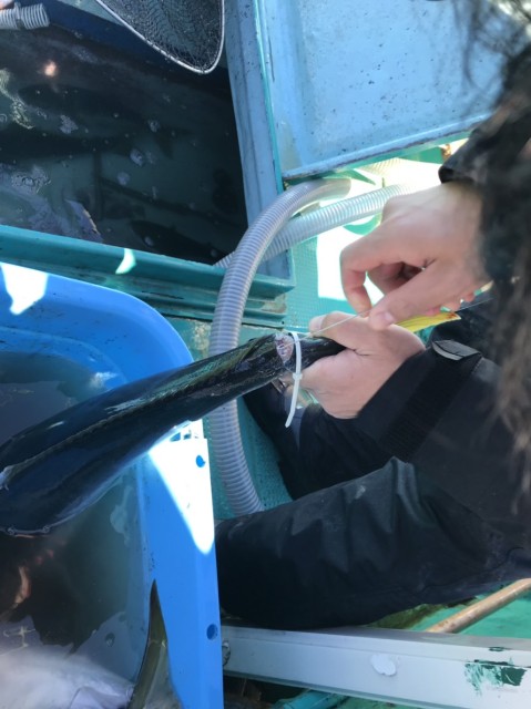 8d5e6d28-eb2f-47a1-ba81-bac8375a3299