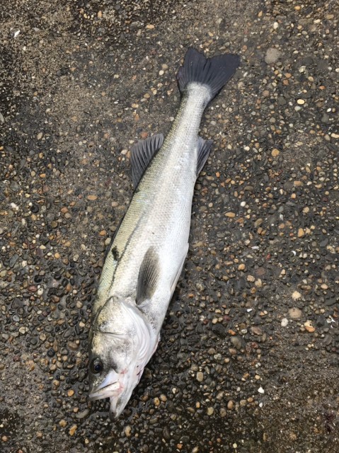 a894da1e-beba-46e7-a318-6a0b3cc4c9a4