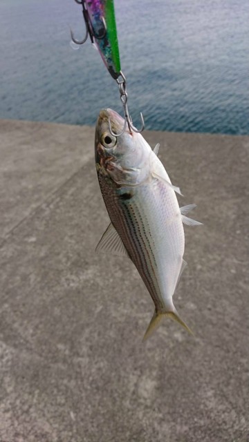 c76435e8-b8a5-4e47-a3cc-5d9560d1f080