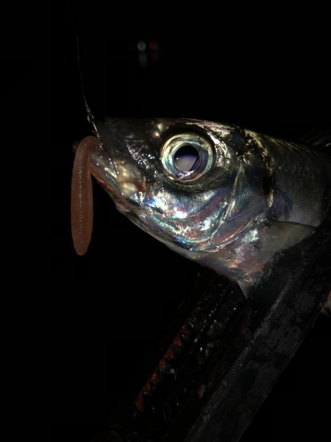 !cid_16791b02fd4407f29601