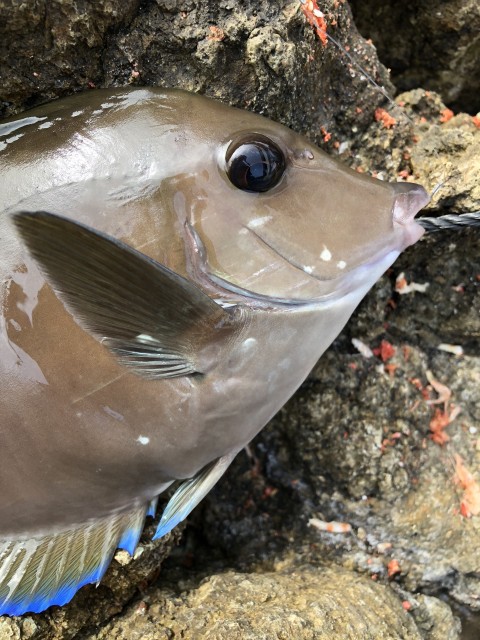 !cid_167d92cafb153bee35e1