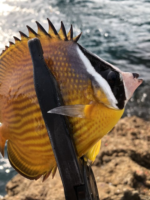 !cid_167d92ced6e9e69085f1