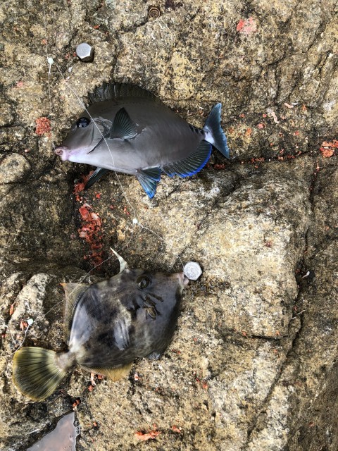 !cid_167d92d32ade9132d601