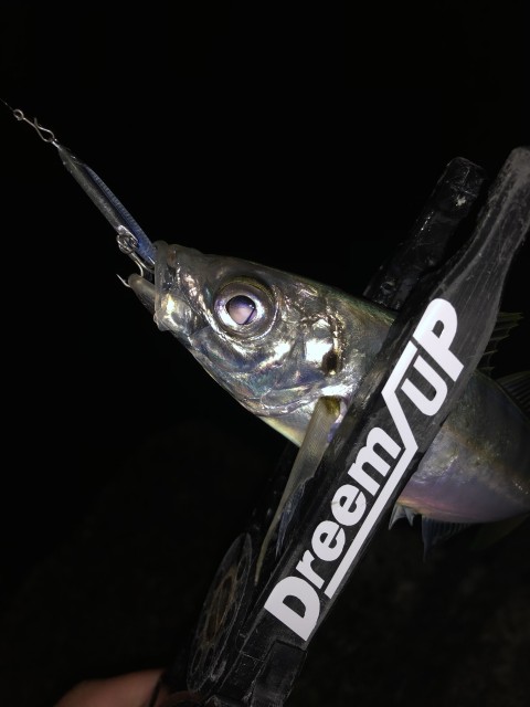 !cid_167f8988309f3ba30671