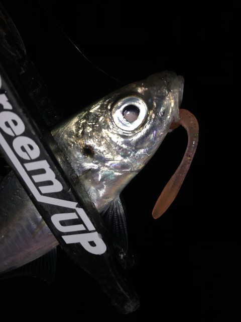 !cid_167f899efbd88ae7651