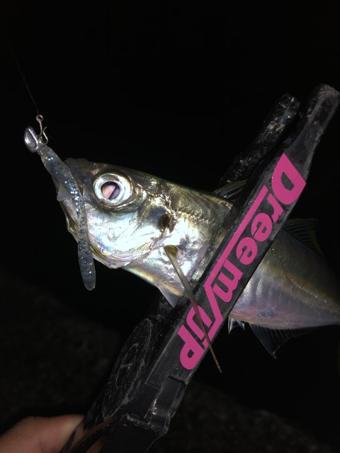 !cid_167f89a2c1d9ddf31671