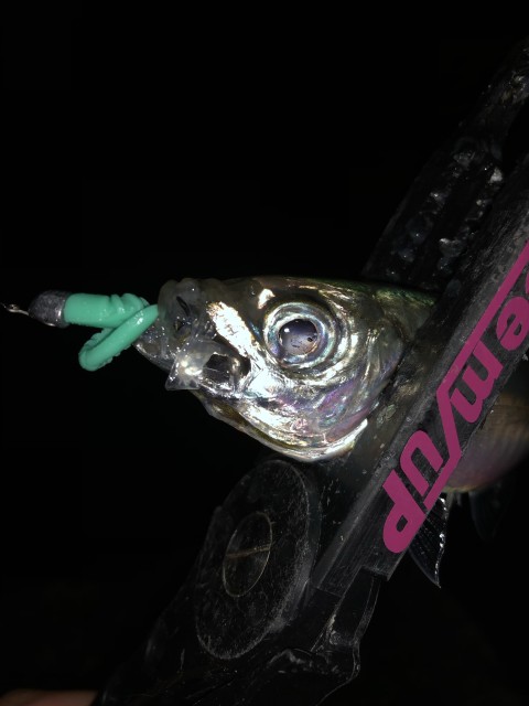 !cid_167f89aab80d2b179621