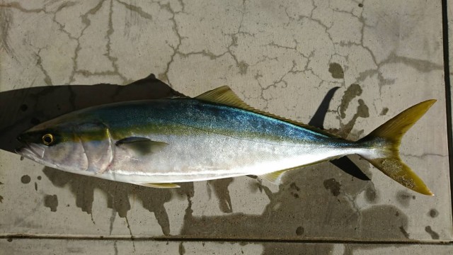 d3b28589-b710-4a98-8e87-82da4eac6fc6