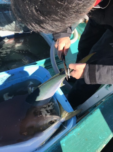 e6516547-d3e5-4e39-aecf-1f3d72e2fe7a