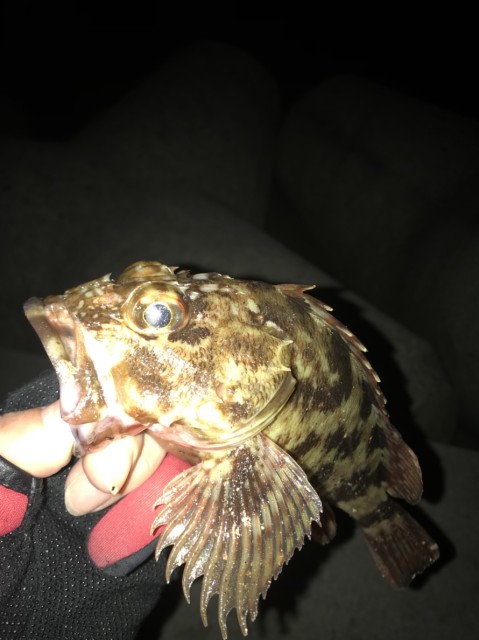 e8a360c5-1d0e-4b86-acda-03d7ad50fd47