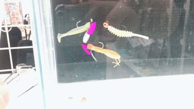 f5aa99ee-d543-4ab5-a97c-51871cd2552b