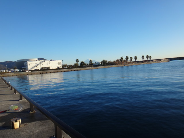 ふぃしゅーな１