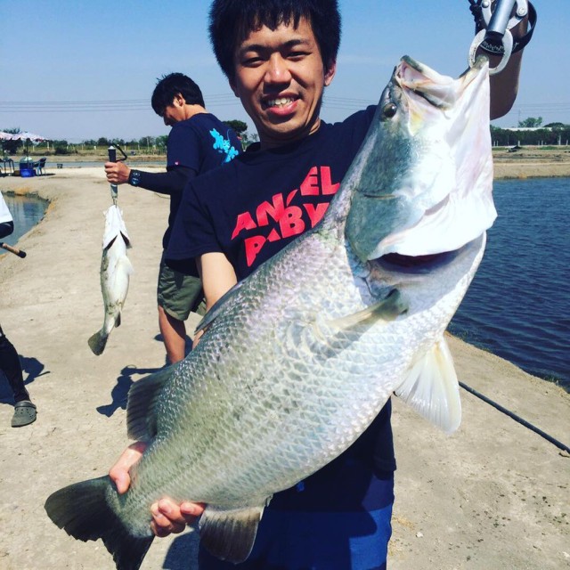 0644c5da-683e-439d-acd6-820ab5ee085e