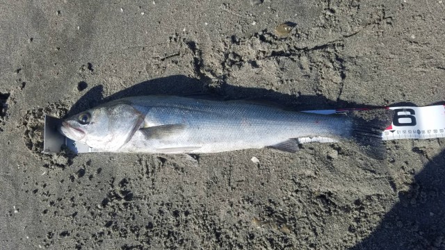 09121e92-3323-47db-b6aa-14569bf9d87e