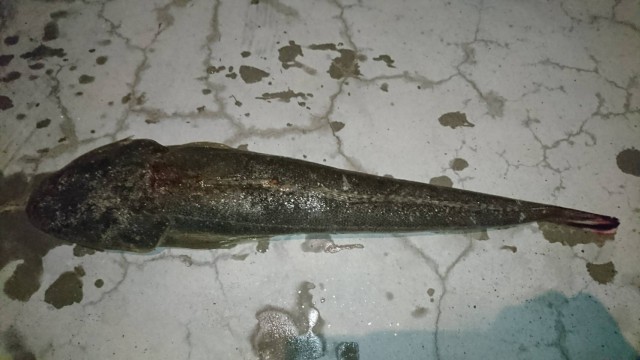 197650e4-2557-483e-895a-0b912e3044a5