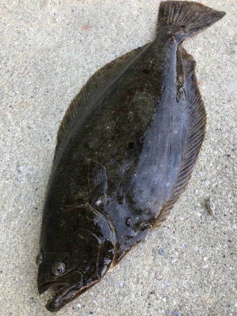 1bedaf6f-e0e6-4380-9784-cff908cb8f9f