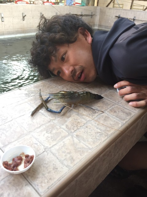 1c879003-a33a-4edb-a1aa-e87ae9220933