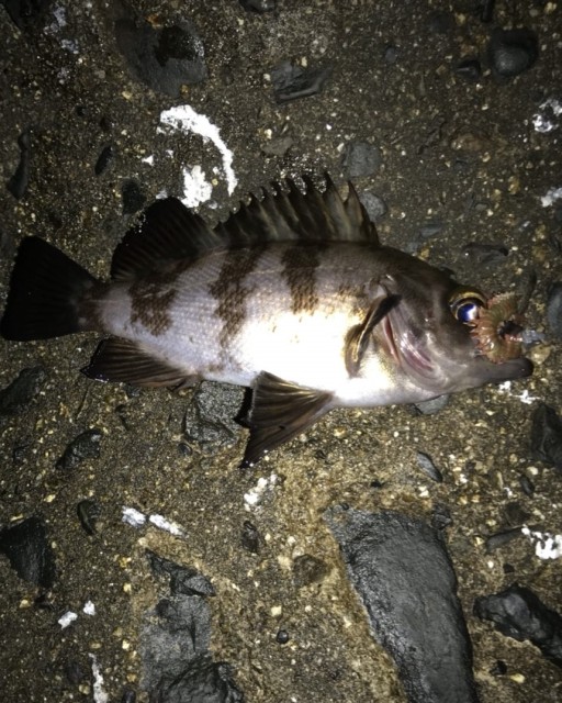 2604dac7-12bd-4321-9b3f-be9cc901503b