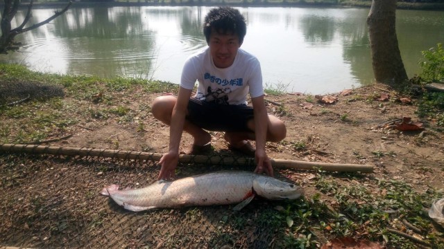 3b17b354-1065-444d-9b13-e776c086d6e0