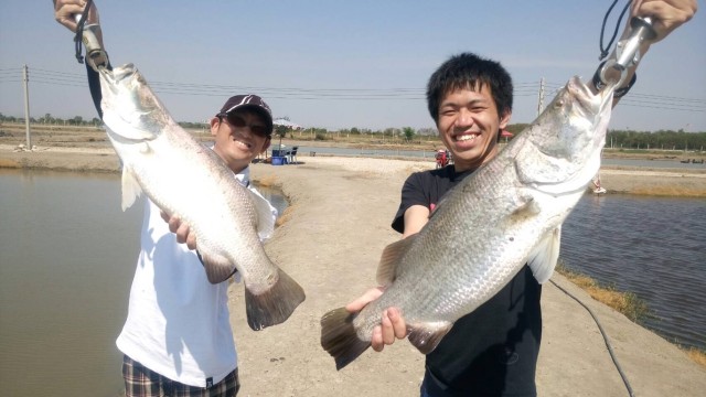 8efd2c1e-a95d-4c84-a213-089dc8b8e8d3