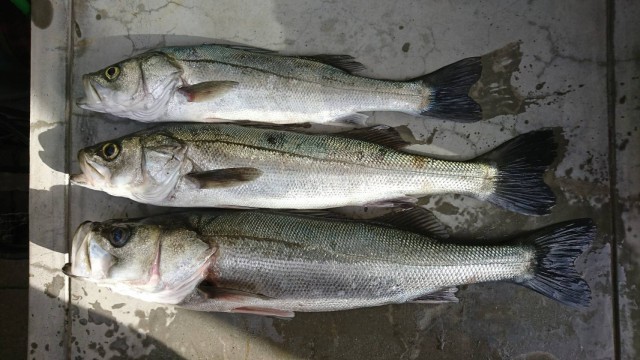 91b42abe-2c26-4e18-a639-a0654e764fe5