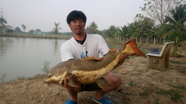 bc44ff46-fcc6-4e82-9985-cbaac50395f1