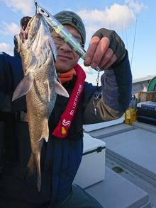 初船釣り、は中深海の高級魚狙ってきました！