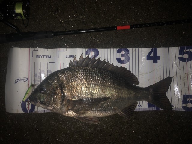 01c307ad-386c-45d7-a50f-ca4f1838f3c7