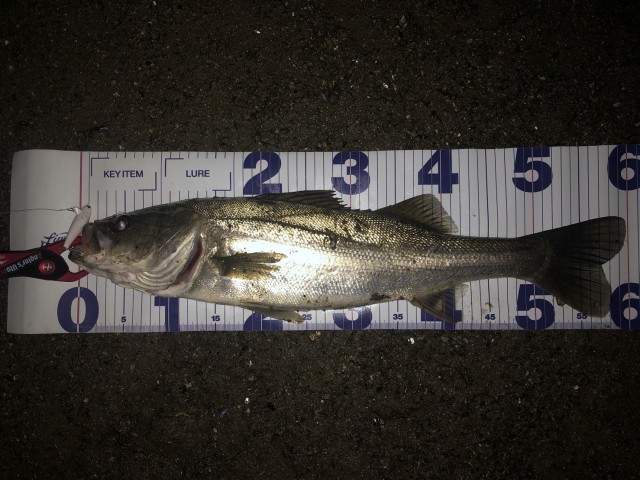 084691bb-bbf6-4825-9676-15bad27687a7