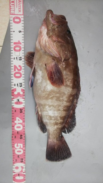 690f2a4a-08f5-40be-9762-42ded9fa5bf2