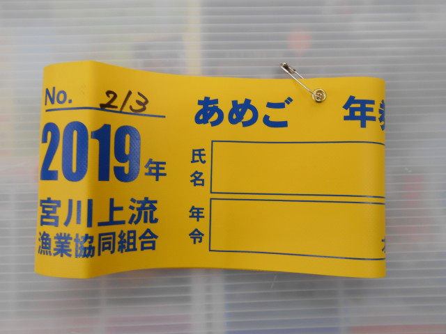 宮川上流＆櫛田川のアマゴ年券が入荷しました！