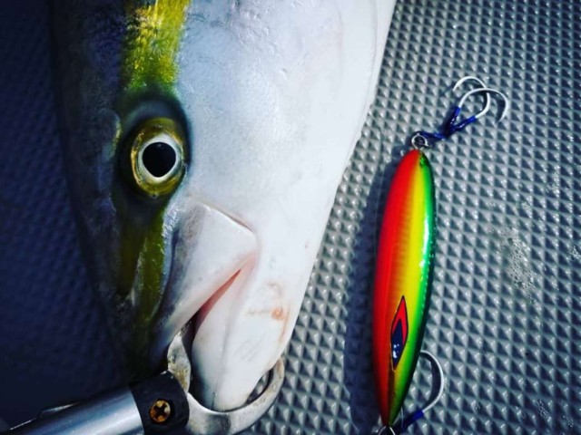 IMG_20190207_183743_889