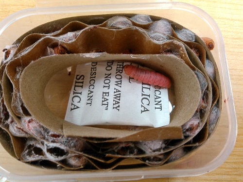 新しく入荷致しました！